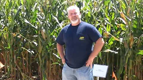 Champion Corn Grower Randy Dowdy