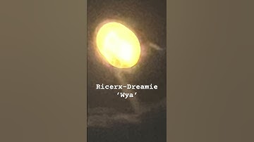 RicerX x Dreamie #music