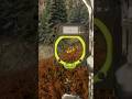 ### hunting.!!! Community challenge bow ## call of the Wild.