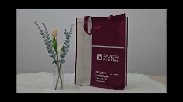 TÚI VẢI KHÔNG DỆT ĐỰNG LỊCH, ĐỰNG QUÀ TẾT SẢN XUẤT TẠI BÁCH VƯỢNG