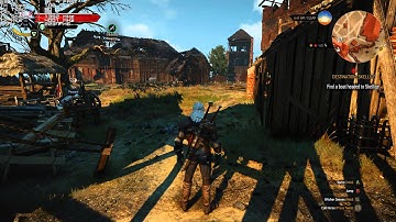 The Witcher 3 1440P on a Titan X performance