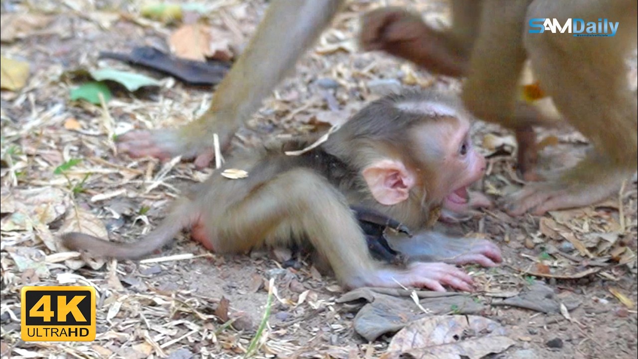 LOUY's Baby: Learning to Walk & Recognize Nursing Time