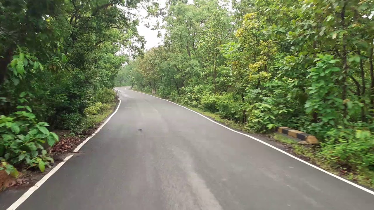 Gangta Jungle forest |  Bhimbandh | Bike Ride Jamui to Munger