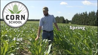Corn School: Where to place fertilizer in a strip till system