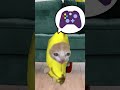 The Story of Banana Cat😹🍌#32｜Game and Banana Cat🎮