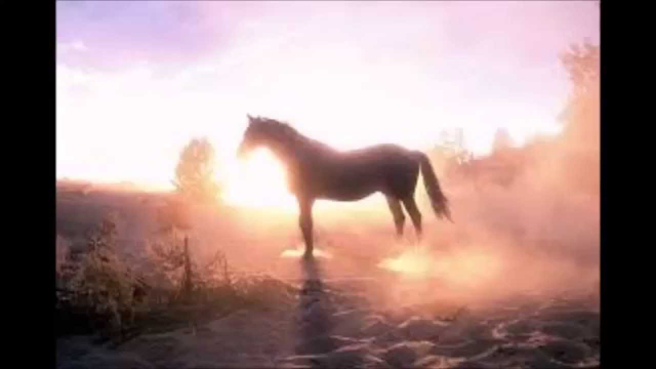 Horses In Heaven YouTube