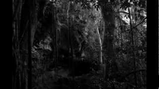 Watch Hanging Garden Under The Hanging Vines video