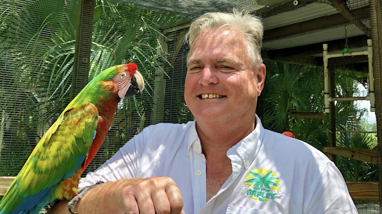 Robb Stan Visits The Bird Gardens Of Naples Youtube