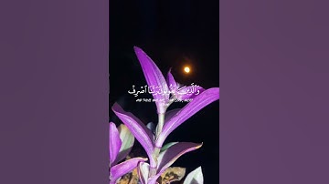 وَعِبَادُ الرَّحْمَٰنِ🤍آيات عطرة من سورة الفرقان بصوت القارىء الشيخ ناصر القطامي🌸 #قرآن