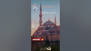 تلاوة عطرة من سورة الأنبياء بصوت الشيخ القارئ يحيى رشاد من صلاة التراويح #quran #tiktok #telawat