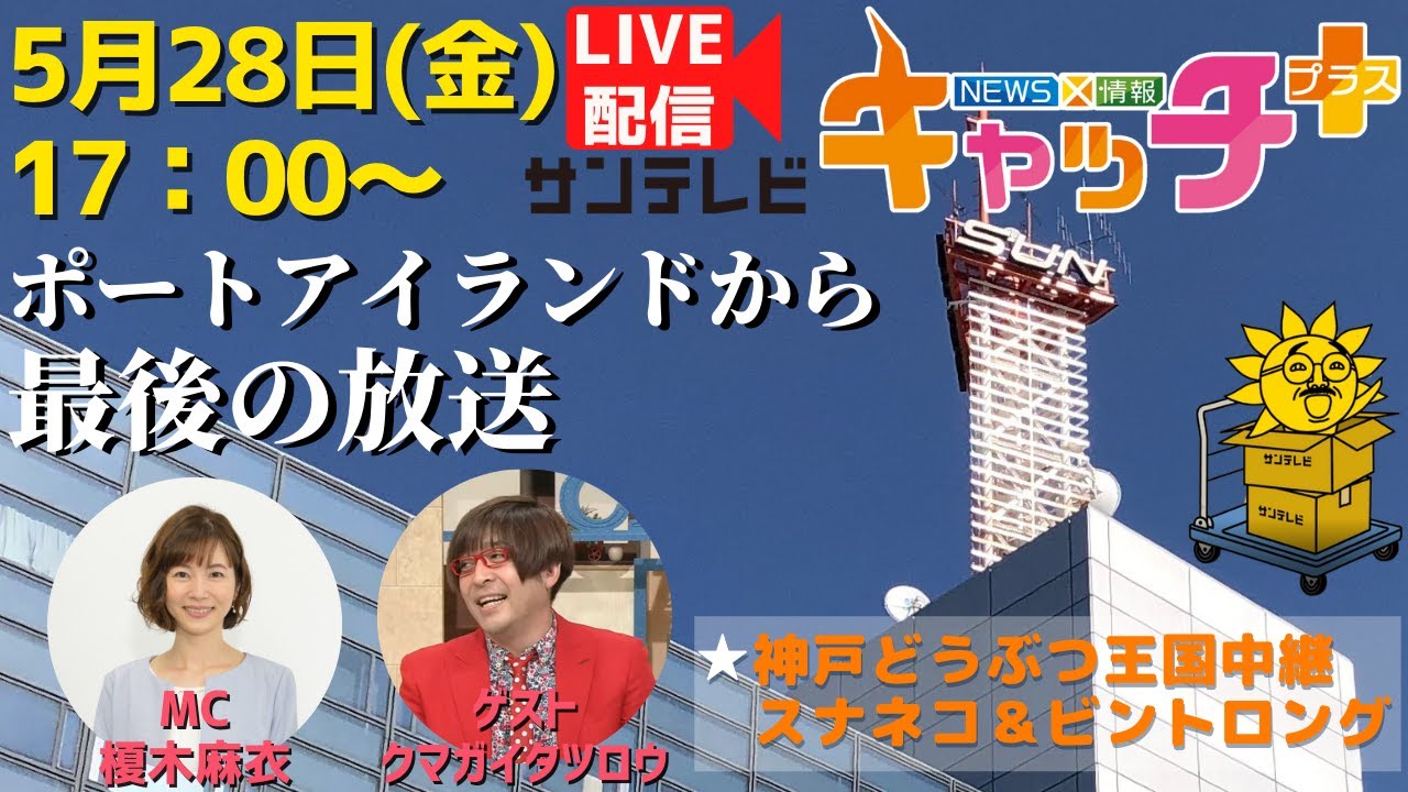 砂漠の天使スナネコの赤ちゃん生中継で ゲスト クマガイタツロウ News 情報 キャッチ 5月28日金曜日 Youtube 砂漠の天使スナネコの赤ちゃん生中継で ゲスト クマガイタツロウ News 情報 キャッチ 5月28日金曜日 Youtube