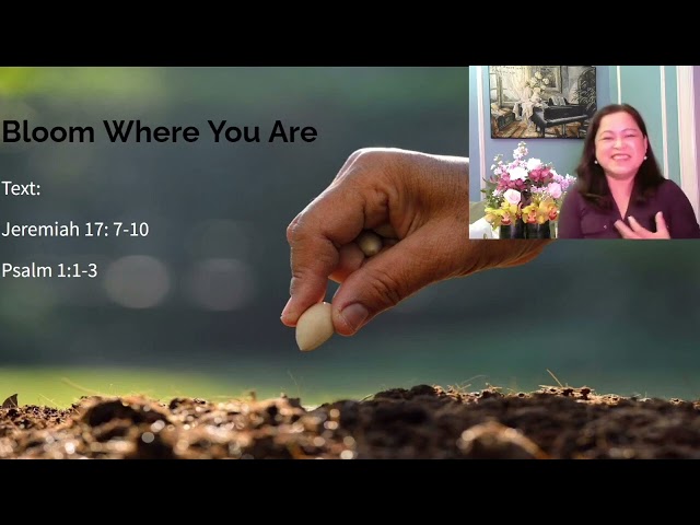 Bloom Where You Are - Lorna Mosqueda class=