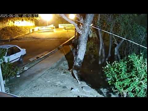 Onças-pintadas voltam a ser vistas na área urbana de Corumbá |vídeo 2 Onças-pintadas voltam a ser vistas na área urbana de Corumbá