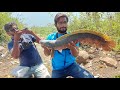 Snakehead Fishing On Spinner Lure || Fish Hunting  soar machhli