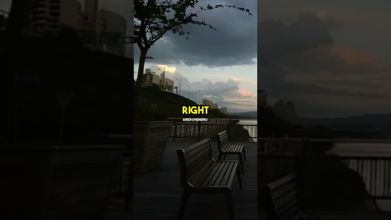 love your person buddy 