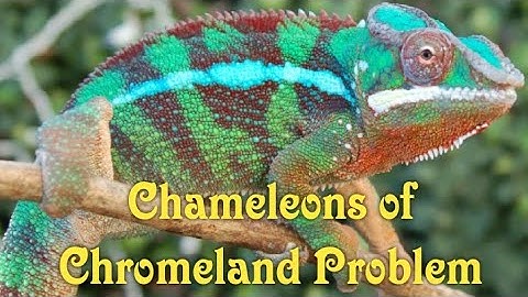 Chameleons of Chromeland Problem Using Functions | XII CS | 1.4.3 | Page No. 6 & 7