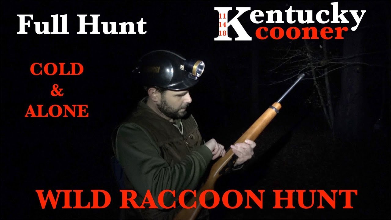 Wild Coon Hunt (Cold & Alone) Full Hunt YouTube