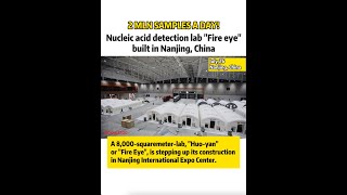 2 MLN SAMPLES A DAY! Nucleic acid detection lab “Fire Eye” built in Nanjing, China#Shorts 2 MLN SAMPLES A DAY! Nucleic acid detection lab “Fire Eye” built in Nanjing, China#Shorts