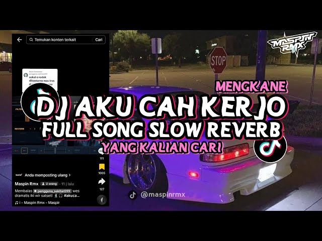 DJ AKU CAH KERJO FULL SONG SLOW REVERB MENGKANE VIRAL DI TIKTOK YANG KALIAN CARI class=