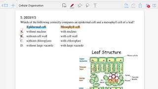 HKCEE Bio 2003/II/3 - Past Paper Solution