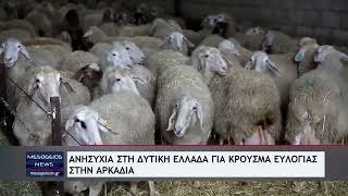 Ανησυχία στη Δυτική Ελλάδα για κρούσμα ευλογιάς στην Αρκαδία