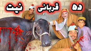 Da Qurbani Neyat Eid Pashto New Funny Video 2023 by Bebe Vines Plus