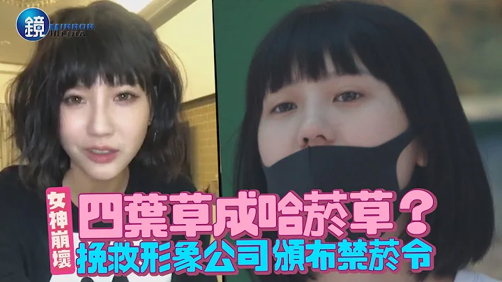镜周刊 镜娱乐即时》女神崩坏！四叶草成哈菸草？ 挽救形象公司颁布禁菸令 - 天天要闻