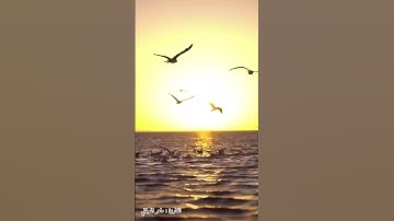 تلاوة سورة الكهف من ١-٦ بصوت الشيخ#ماهر_المعيقلي