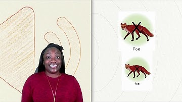 Skills Flex: GKM3C16L82 [Grade K, Module 3, Cycle 16, Lesson 82]