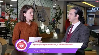 Apiterapi Hangi Hastalıkların Tedavisinde Kullanılır? Pembenar Tv - Serpil Dokurel