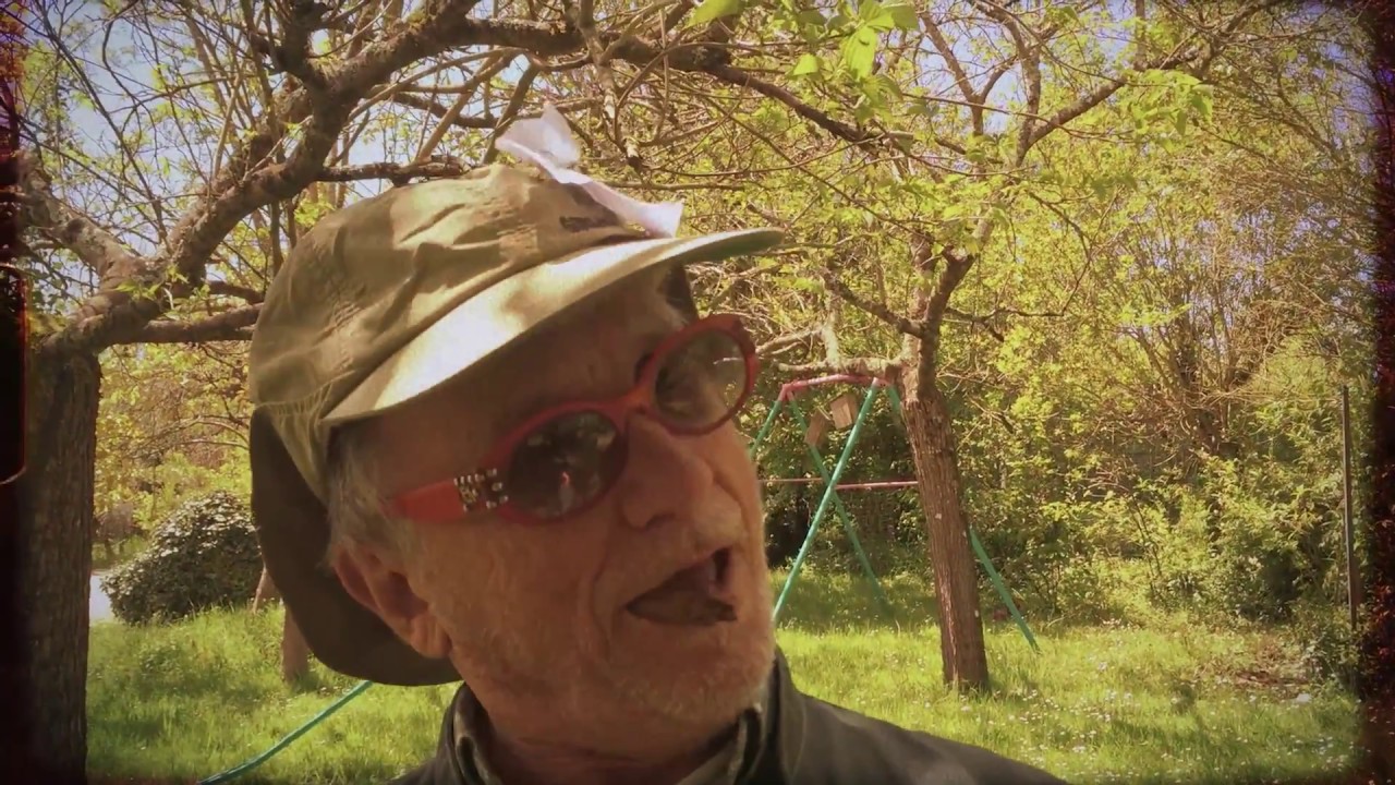 Daniel Antopolsky - Fish Bait Blues (Official Video)