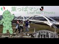 葉っぱマン【ドッキリ】Leaf Man Pranks 19 - Japan League Football