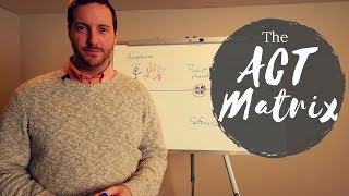 What is the ACT Matrix? (Life Map Adaptation)