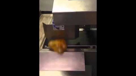 Single Belt Static Checkweigher