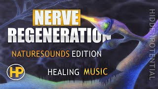 Nerve Regeneration - Energy Healing Music - (Subliminal/Frequencies) Ser. 1