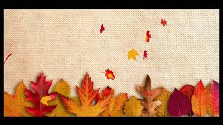 FREE NO COPYRIGHT FULL HD ANIMATED NATURE AUTUMN LEAVES RELAXING CALM VIDEO TEMPLATE screenshot 2