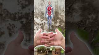 पूरे शरीर की ब्लॉकेज खुलेगी, बस 4 मिनट में! ⚡ #murda #heartblockagetreatment #blockages #yoga
