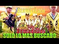 Los Armadillos de la Sierra, Dueto Bertin y Lalo - SOLO EXITO PESADOS MIX 2022