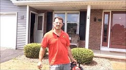 How to Properly Prune Shrubs in Rochester, NY