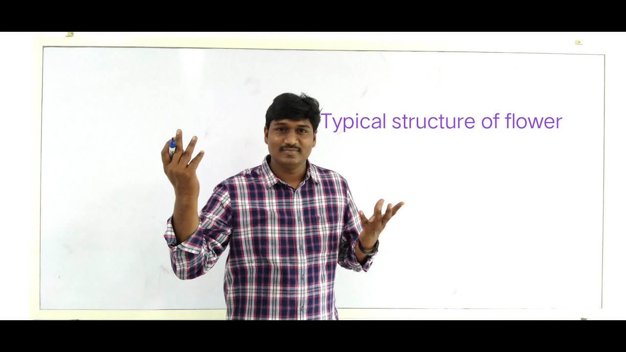 19th October Botany class YouTube