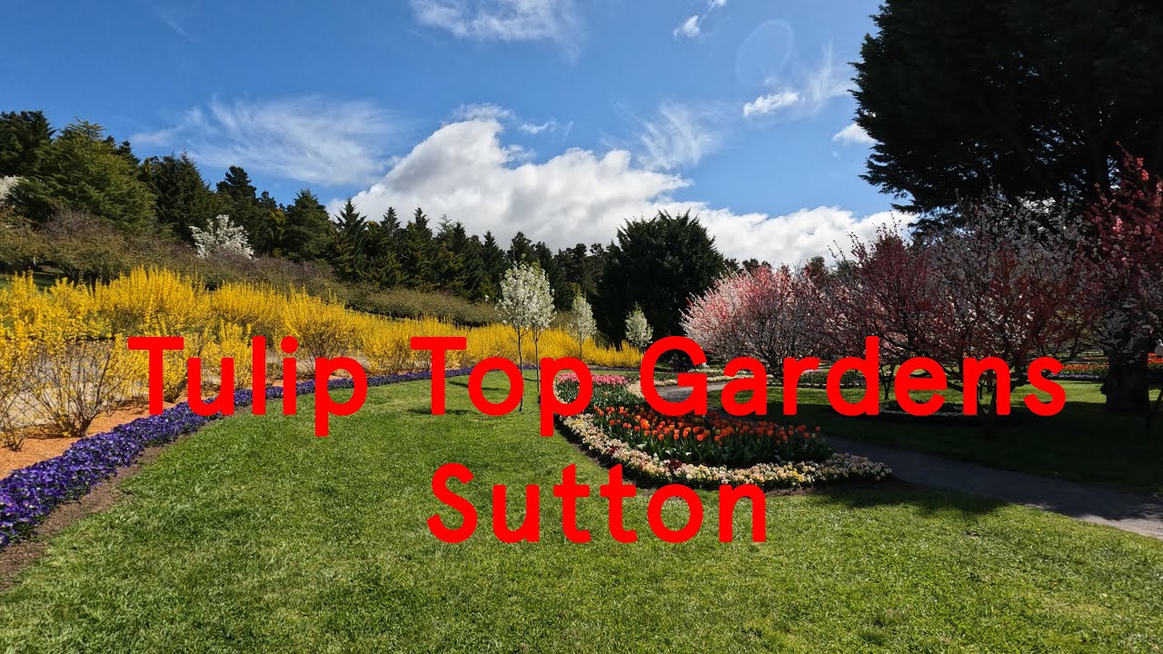 Tulip Top Gardens, Sutton, New South Wales, Australia YouTube