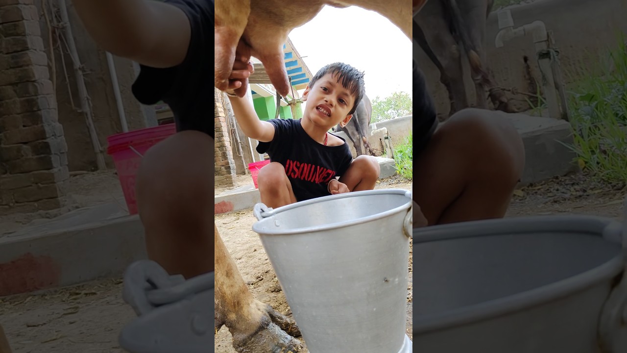 choti choti gaiya tr yryt gfg 