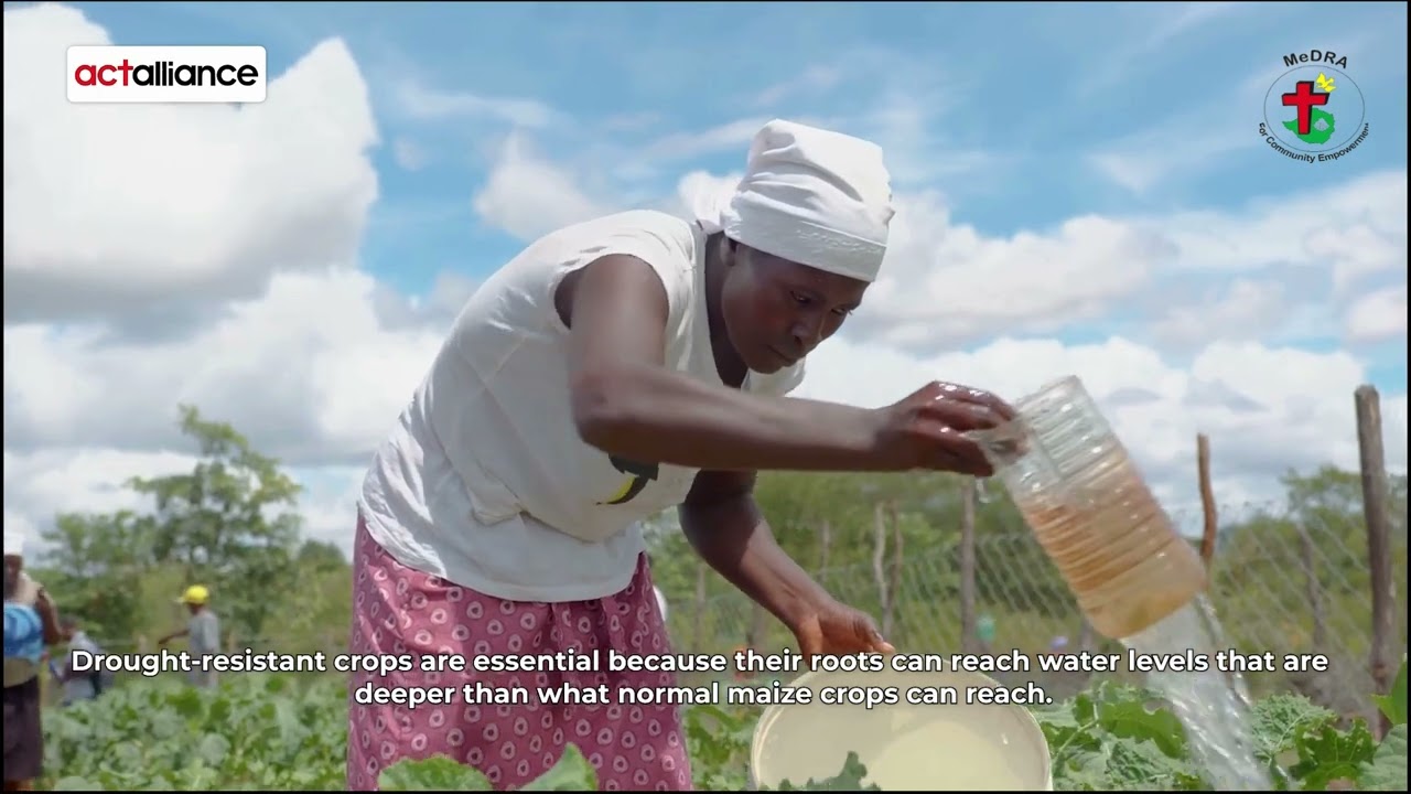 Locally Led Climate Action Project