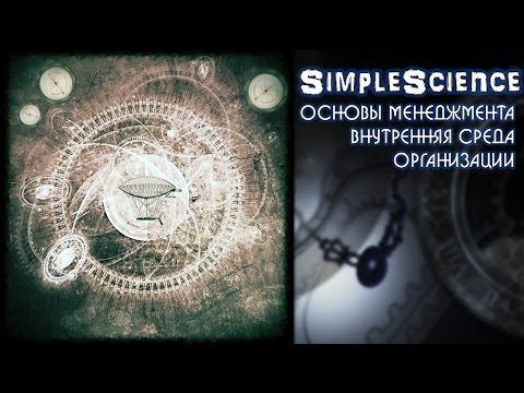 Основы менеджмента. Внутренняя среда организации.