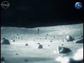 Alien filmed on Moon - #strangerthings #alien #alienlife