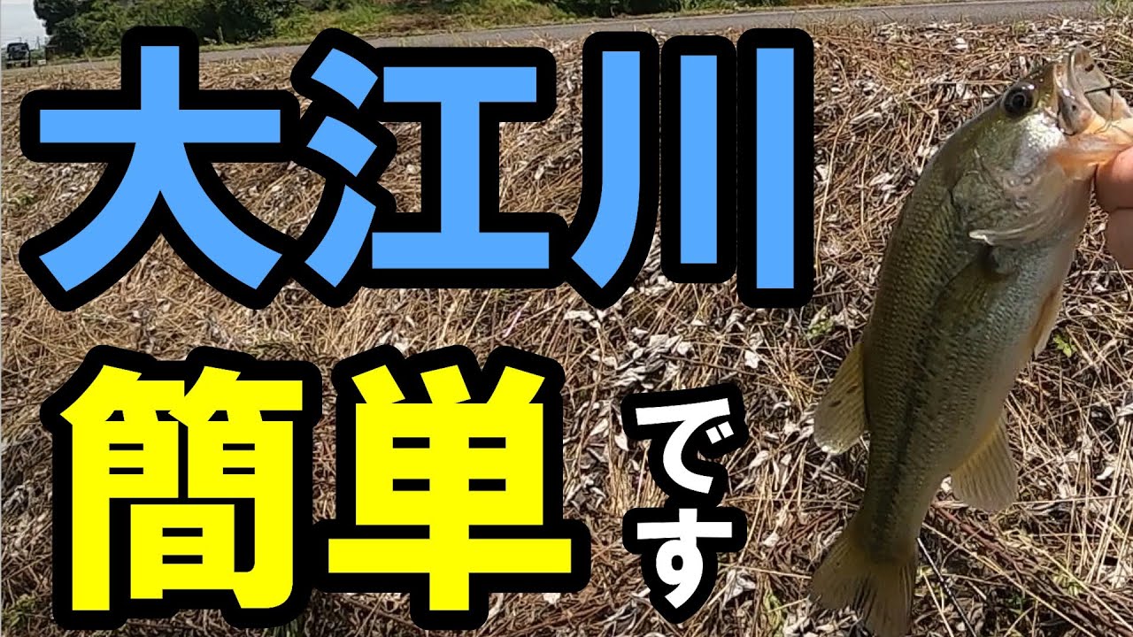 入鹿池 オカッパリ ヘビーな釣りで余裕の50up バス釣り Youtube