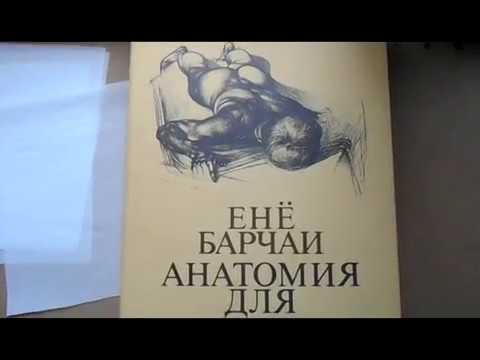Книга 6. Ене Барчай "Анатомия для художников. Упражнение для набросков. Обводка.