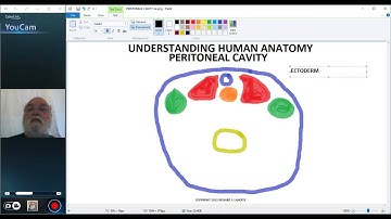 UNDERSTANDING HUMAN ANATOMY-ABDOMEN PERITONEAL CAVITY PART 1