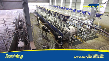 Sort your cows easily with automatic drafting.