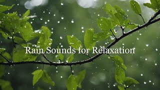 Ambient Sounds for Relaxation | Beautiful Rain Sounds and Relaxing Music 🌧️🌊